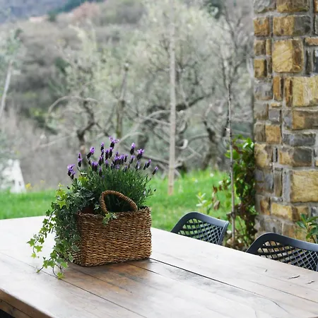 Caprisa Villa Koper